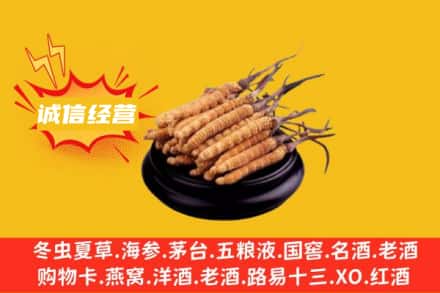 阳泉盂市回收冬虫夏草